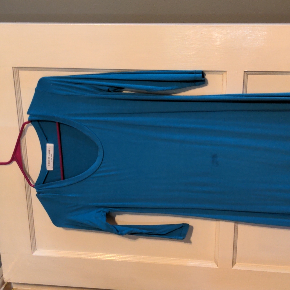 Sonnet James dress (stained)